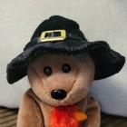 Ty Beanie Babies Plymouth Bear Plush 2005 Thanksgiving 8 5    Holding Turkey New
