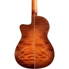 Cordoba Fusion 12 Exotic Top Nylon-string Classical A e Guitar Cinnamon Burst