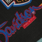 Vintage 1990s Harley Davidson Eagle Soars Alone Biker Bandana Usa Black