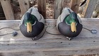 2 Avery Greenhead Gear Ghg Hot Buy Mallard Drake Duck Floating Decoys