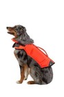 Arcadia Trail Dog Life Jacket Large High Visibility Coral Reflective