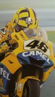 Valentino Rossi Limited Edition Tribute Yamaha Ducati Honda Suzuki Moto Gp