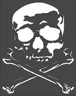 Skull   Crossbones Stencil Reusable Template For Wall Art Diy