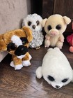 Ty Beanies Boos Lot Of 10 Dogs Pigs Owls Turtle Flamingo Seal Koala 6    Plush