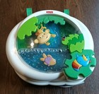 Fisher Price Rainforest Waterfall Soother Jungle Peekaboo Crib Toy Read  Clean-