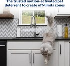 Odorless Motion Sensor Spray For Cats - Motion Activated Pet Deterrent
