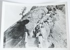 3 Sequoia National Park 1932 Original 5x7 Photos Roadster Car Redwood Moro Rock 