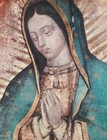 Our Lady Of Guadalupe Real Size Tilma Fabric Print Mary Relic Lent Easter