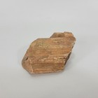 Petrified Wood Small 3 Inch Raw Natural Fossil Rock Specimen Arizona Mineral