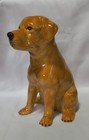 Hand-painted Ceramic Golden Retriever Bank