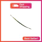 Alternative Imagination Sweetgrass Braid - Natural Incense - 18 To 23 Inches Lon