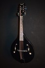 Dean Tnae Tennessee A Classic Black Acoustic Electric Mandolin Brand New B-stock