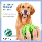 Interactive Dog Toy Balls Set 9pcs  4x Squeaky Dog Toys  2x Soft Rubber Ball    