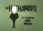 Tv Show The Hathaways Marquis Chimps 6 Episodes Plus Commercials Abc Tv 1961