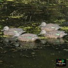 Avery Greenhead Gear Ghg Pro Grade Early Season Green Winged Teal Duck Decoys