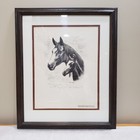 Vintage Horse Mare Foal Print Framed Pen   Ink John Andrews Equestrian Wall Art