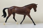 Breyer    protocol     2019 Traditional Strapless