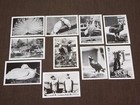 Vintage The Bird Park Avalon Santa Catalina 10 3 1 2  X 2 1 2  Scenic Views