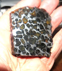 111 Gm Sericho Pallasite Meteorite Slice From Kenya Std Olivine
