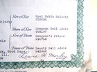  The Jersey Breed American Jersey Cattle Club 1936-1939 Bull Soagson Junior