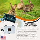 Automatic Rabbit Feeder  Food Dispenser With Timer -  Care For Your Animals