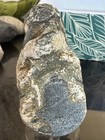 Rocks For Sale 3 Lbs Mojave Rough Unpolished Schist