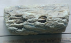 Petrified Wood Log