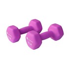 10lb Non-slip Neoprene Dumbbell Set 2 Count Home Gym Workout Fitness Dumbbell