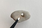 Natural Holey Beach Rock Hag Stone Fairy Wish Mystical Magic Adder Heart        Usa