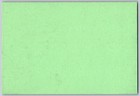 Ink Blotter C1950 s-60 s Blank - No Company Name Or Text Forest Flowers Trees