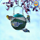 Green Seed Ball Wild Bird Feeder Peanut And Seed Set For Outside Garden New