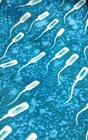 Absolut Dad Vodka Brand Bottle Sperm Tie 58x3 75  Bonus Semen Pins Dad Gag Gift
