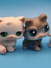 Lps Littlest Pet Shop Lot Of 5