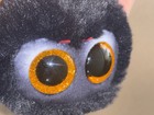 New Nwt Ty Beanie Boos Charlotte The Halloween Black Spider 6  Plush Toy Us58