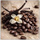 Java Bliss  Coffee Infused Polishing Luxe Soap Bar   Roots   Rituals By Tziporah