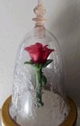 Jakks Beauty And The Beast Disney Enchanted Rose Light   Music Toy Working