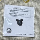 Tokyo Disney Resort Pin Resort Line 2011 Tds 10th Mickey Minnie Japan Tdr