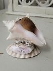 Antique Victorian Sailors Valentine  Souviner Shell Art