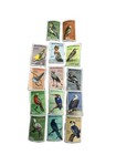Botswana 1967 Birds Definitive Stamp Set 1c-50c   R1-r2 Mint Collection