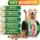 Allergy Relief Chews For Dogs     Itchy Skin   Ear Support   Immune Boost - 120 Ct