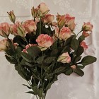 Vintage Home Interiors Victorian Pink Rose Bush 4630 new Old Stock original Tag