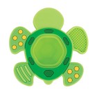 Nuby Teethe N  Pop Sensory Play Teether - Baby Teething Toy - 3  Months Green