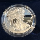 2017 W Silver Eagle One Ounce Proof Coin With Us Mint Box And Coa 