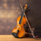 1 4 Acoustic Violin Basswood With Hard Bridge Case Bow Rosin Black Friday