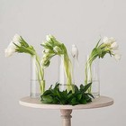 Libbey Clear Glass 9 5  Cylinder Floral Vase 10 X 3 4 X 3 4 New