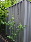 20  Used Steel Shipping Container Storage Container