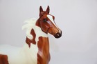 Breyer Horse American Saddlebred Matte Chubasco 