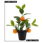 13 Inch Artificial Orange Tree Black Potted Mini Plants Fake Fruits Decor