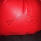 Sugar Ray Leonard Autographed Red Everlast Boxing Glove Psa Dna Auth