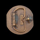 Veterinary Medicine 1980s Vintage Belt Buckle